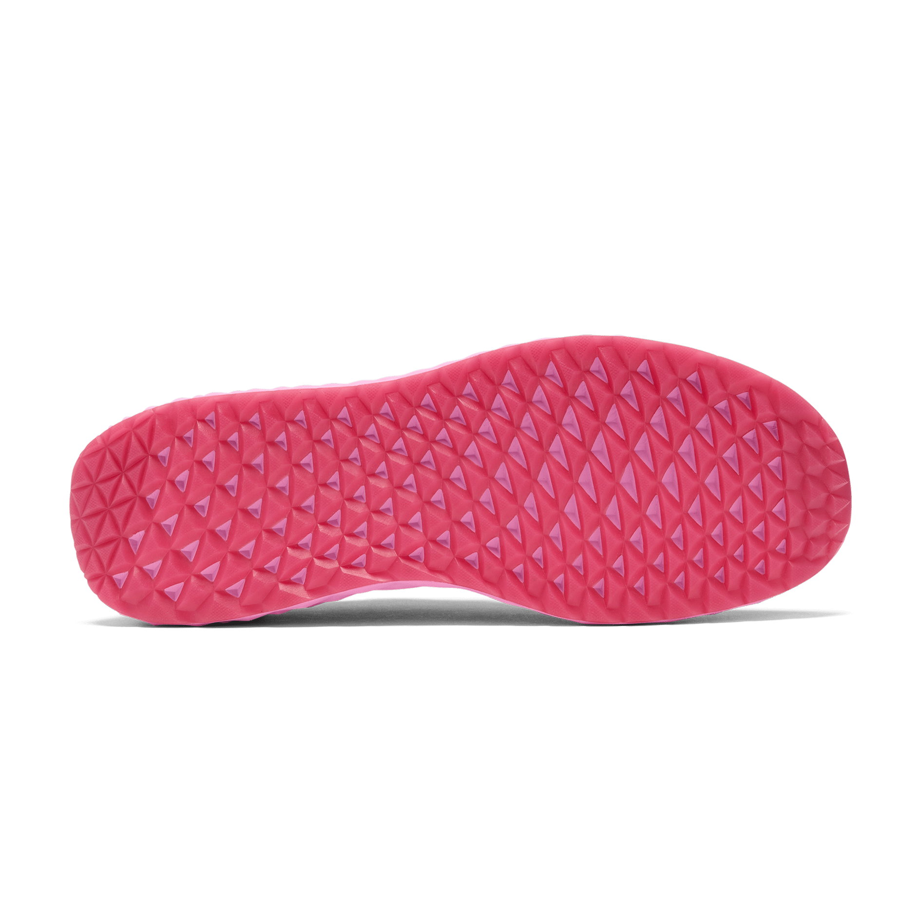 Women's Allday Knit